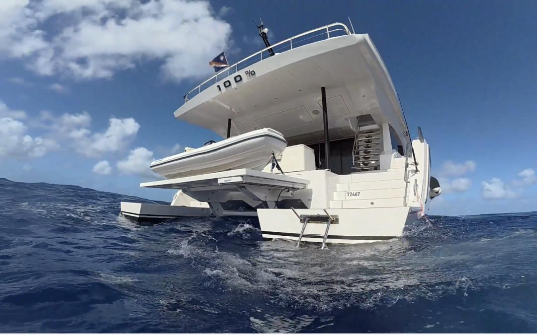 A swim in the deep blue of the Atlantic